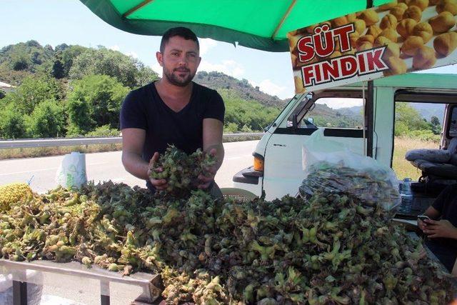 Yaş Fındık Pazara İndi