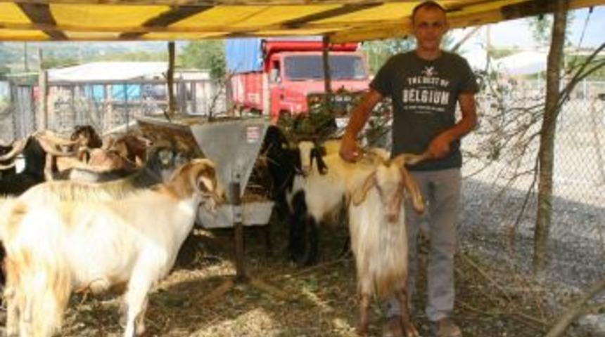 Kurban Kesim Yeri Ve Kesim Ücretleri Belli Oldu