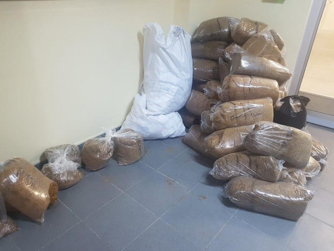 Sakarya&rsquo;da 229 Ka&ccedil;ak T&uuml;t&uuml;n Ele Ge&ccedil;irildi