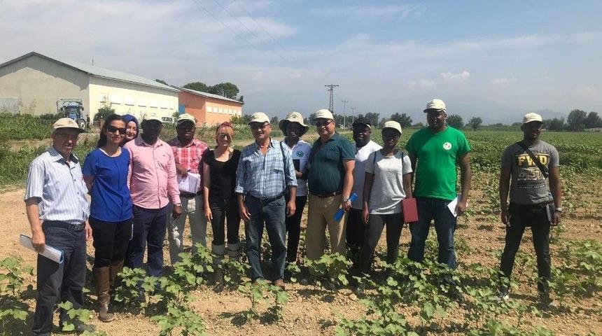 Tika’dan Mozambik’e Pamukçuluk Alanında Eğitim Desteği