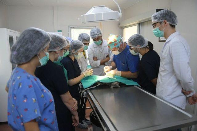 Osmangazi Belediyesi Sokak Hayvanlarına Sahip &Ccedil;ıktı 1