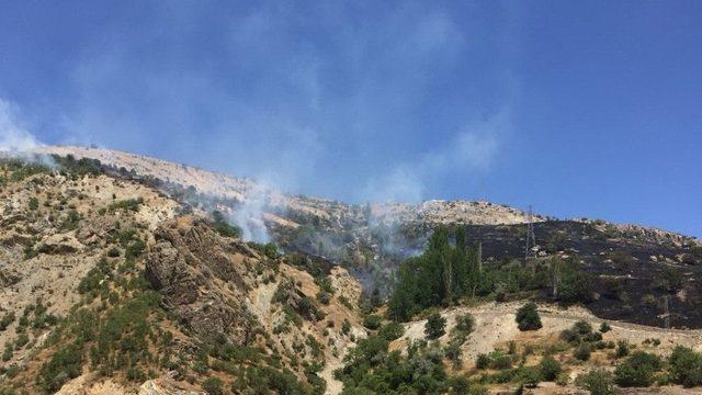 Adıyaman Malatya Arasında Orman Yangını