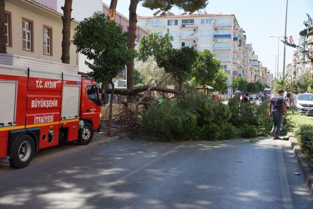 Aydın&rsquo;da Facia Ucuz Atlatıldı