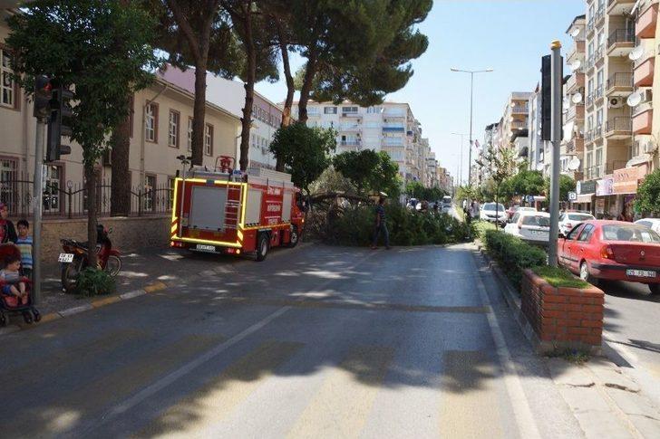 Aydın’da Facia Ucuz Atlatıldı G1