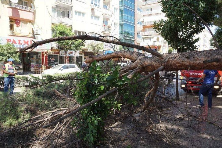 Aydın’da Facia Ucuz Atlatıldı G2