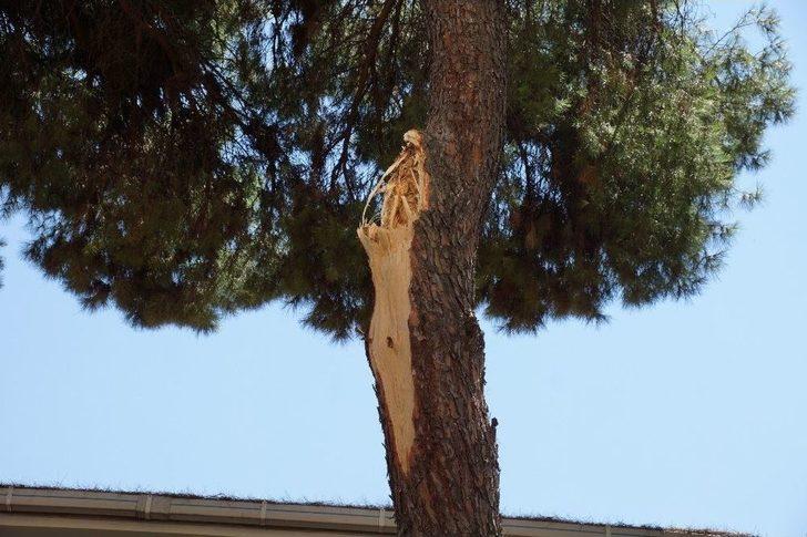 Aydın’da Facia Ucuz Atlatıldı G3