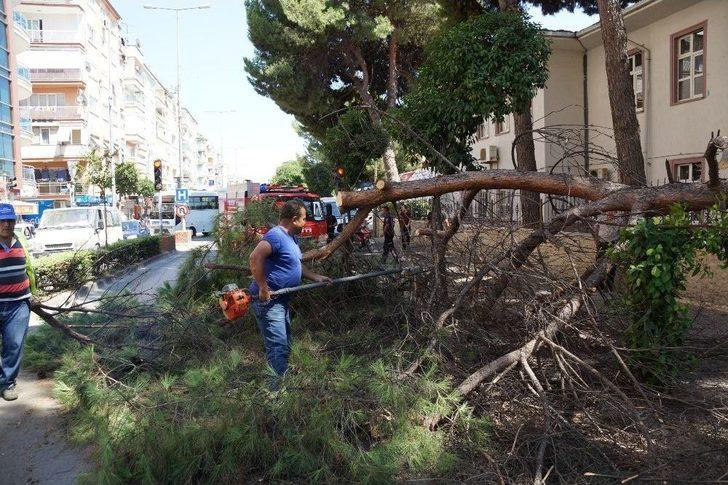 Aydın’da Facia Ucuz Atlatıldı G4