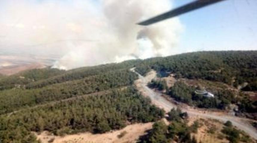 Hatay’da Orman Yangını