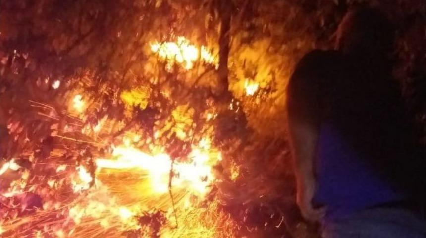 Gerger İl&ccedil;esinde Orman Ve Bah&ccedil;e Yangını