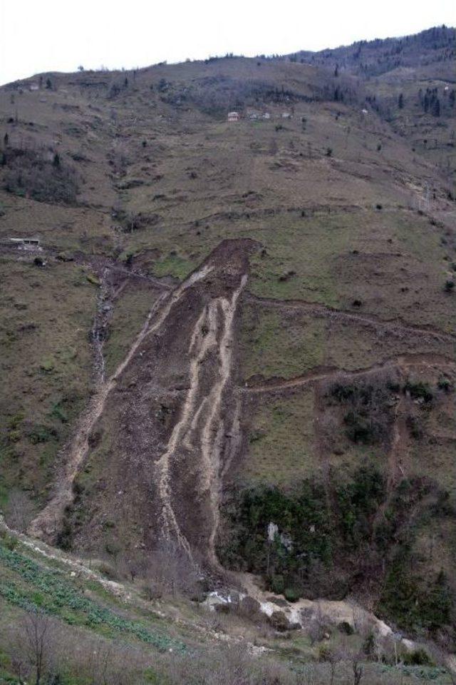 Ordu’da Heyelan Fındık Bahçesini Yok Etti