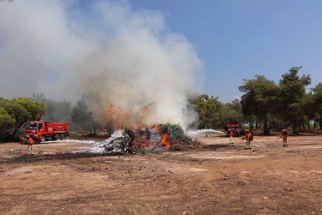 Mersin’de 16 Ülkeden 29 Ormancıya Çölleşme Ve Yangın Eğitimi