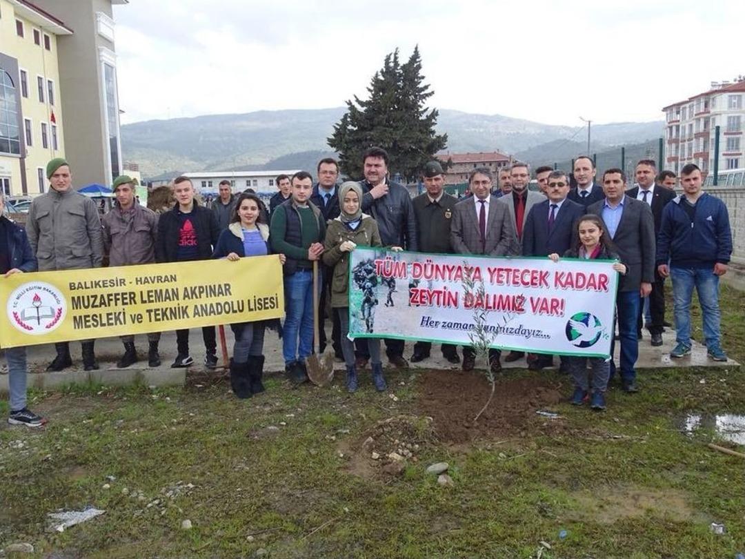 Havranlı &Ouml;ğrencilerden Anlamlı Mesaj &ldquo;t&uuml;m D&uuml;nyaya Yetecek Kadar Zeytin Dalımız Var!&rdquo;