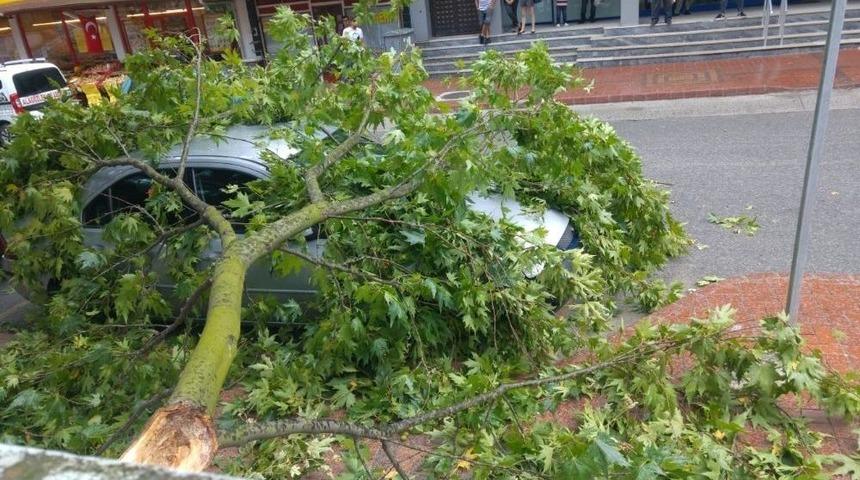 Fırtınada Devrilen Ağa&ccedil; Dalı Otomobilin &Uuml;zerine D&uuml;şt&uuml;