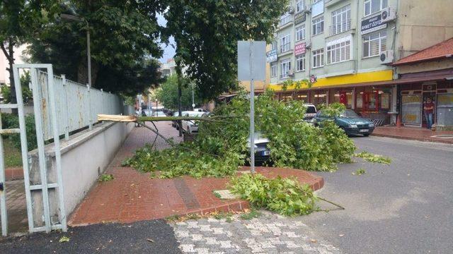 Fırtınada Devrilen Ağaç Dalı Otomobilin Üzerine Düştü