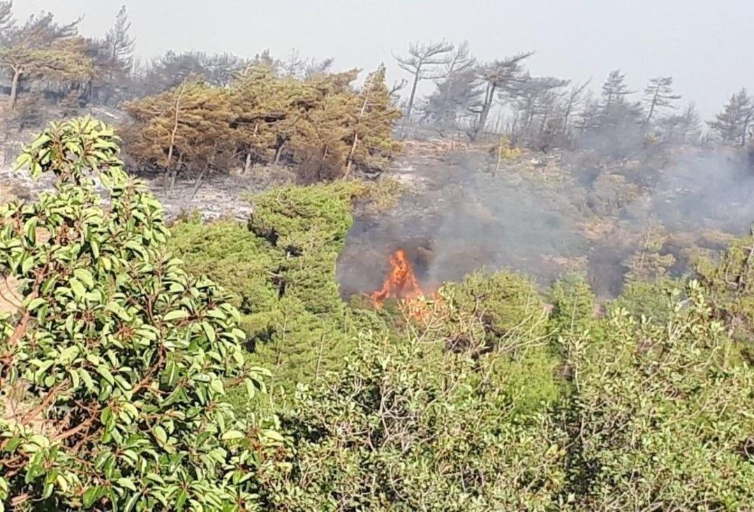 Hatay&rsquo;da Orman Yangınında Soğutma &Ccedil;alışmaları Başladı