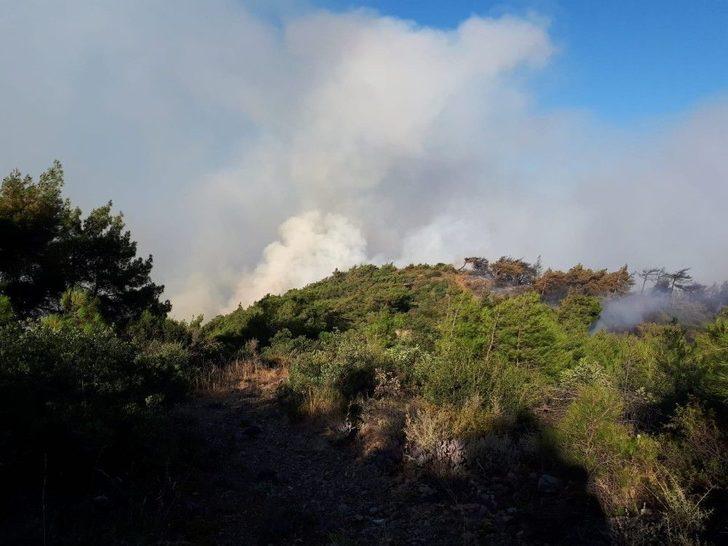 Hatay’da Orman Yangınında Soğutma Çalışmaları Başladı G3