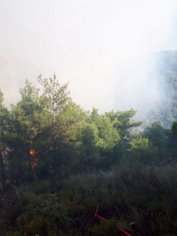 Hatay’da Orman Yangınında Soğutma Çalışmaları Başladı G5