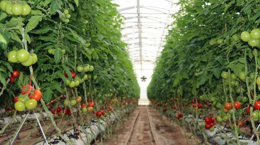 Diyarbakır&rsquo;daki 33 Seraya 55 Milyon Liralık Destek