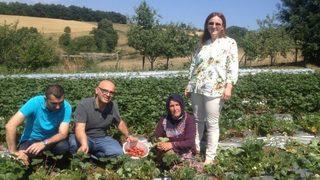 19 Mayıs’ta ’engiz Çileği’ Marka Oluyor