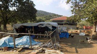 Hayvanları İçin Her Gün 5 Kilometre Mesafeden Tankerle Su Çekiyor