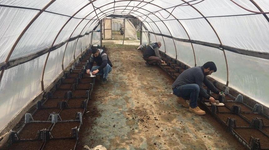 Edirne &Ccedil;i&ccedil;eklerle Renklenecek