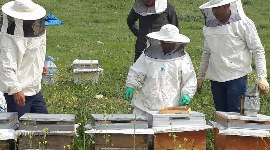 Arıcılar Daha Verimli Bal Elde Etmek İ&ccedil;in Eğitiliyor