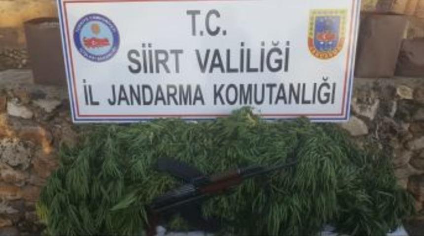 Siirt&rsquo;te Kalaşnikof Silah Ve Kenevir Bitkisi Ele Ge&ccedil;irildi