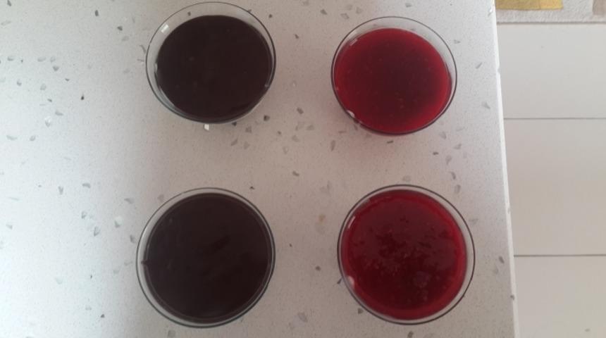 Hızlı Rengarek Meyveli Tatlılar