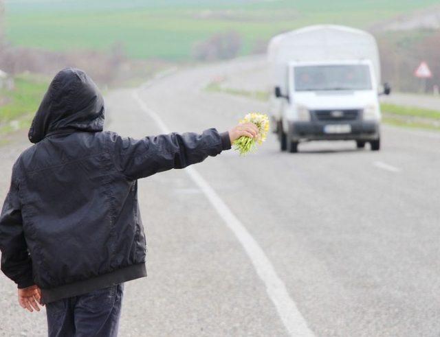 Silvan’da Okul Harçlıklarını Nergis Satarak Kazanıyorlar