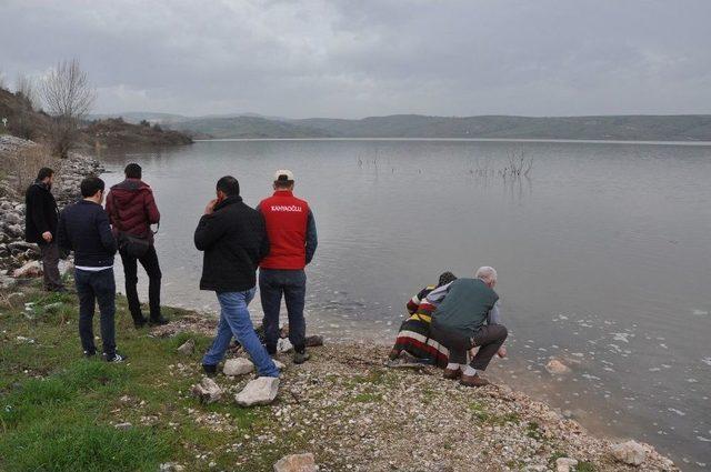 Balıklar Karaya Vurdu