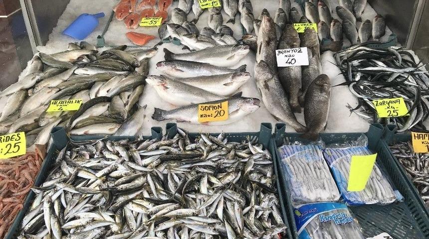 Balık Tezgahlarına Yanaşılmıyor