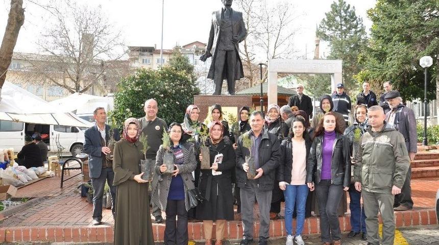 Simavlı Kadınlara Fidan Dağıtıldı