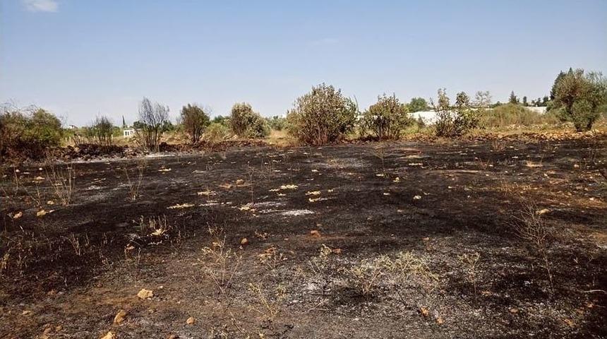 Kaynak Makinesinden Çıktığı İddia Edilen Yangın Zeytin Ağaçlarını Küle Çevirdi
