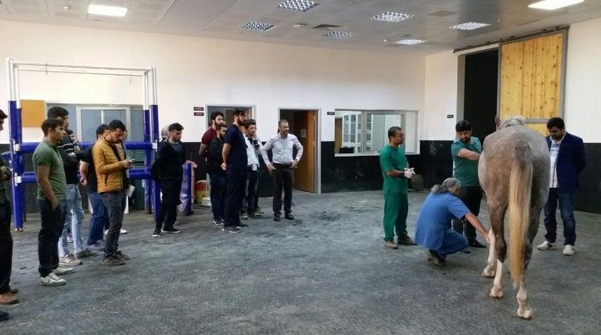 Hr&uuml; Veteriner Fak&uuml;ltesi İle Tjk Arasında İşbirliği Protokol&uuml; İmzalandı