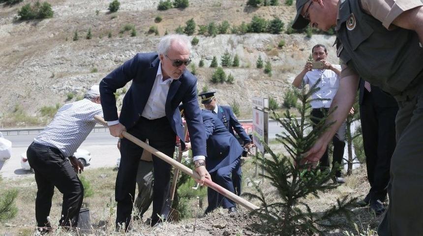 Başkan Sara&ccedil;oğlu, Fidan Dikip Can Suyu Verdi