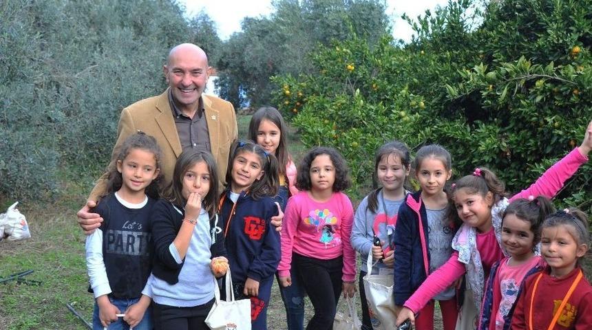 Mandalina Artık ’resmen’ Seferihisarlı