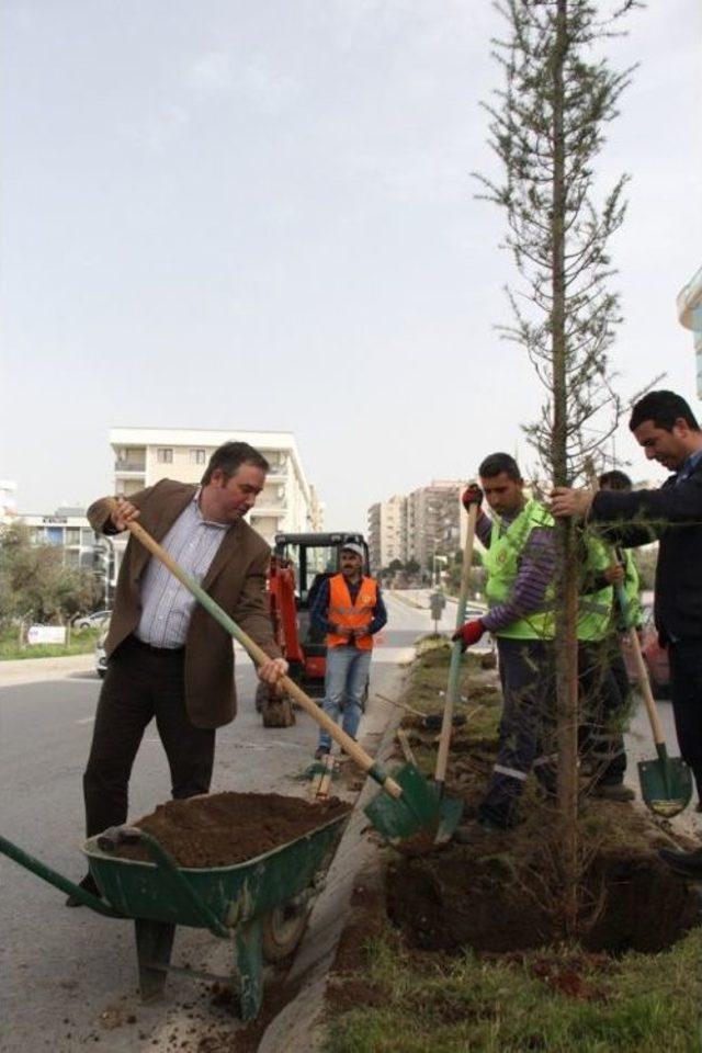 Buca’ya Her Gün 30 Ağaç