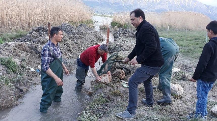 Av Yasağı D&ouml;neminde 141 Ton İnci Kefali Ele Ge&ccedil;irildi