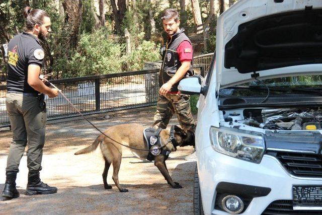 Narkotik Köpekleri Zehir Tacirlerinin Kabusu Olmaya Devam Ediyor