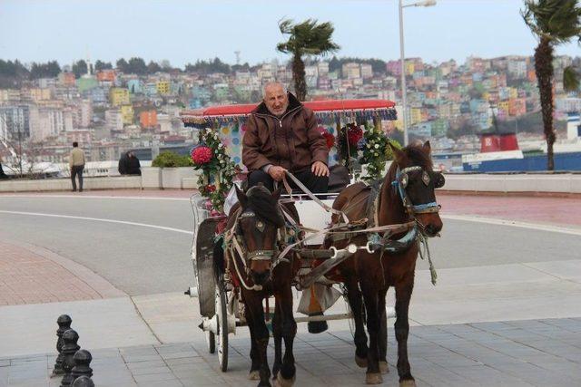 Samsun 23 Dereceyi Gördü