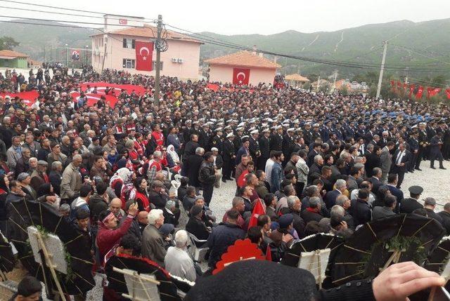 Muğla Şehidini Zeytin Dallarıyla Uğurladı