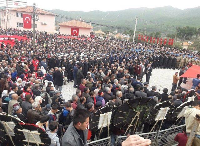 Muğla Şehidini Zeytin Dallarıyla Uğurladı