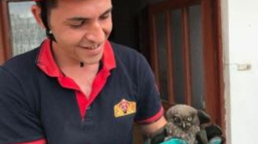 Bacaya Sıkışan Yavru Baykuşu İtfaiye Kurtardı