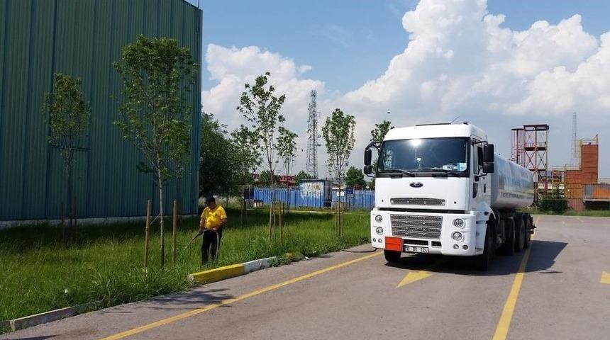 Ağaçlar Sulama Çalışmasıyla Büyüyor