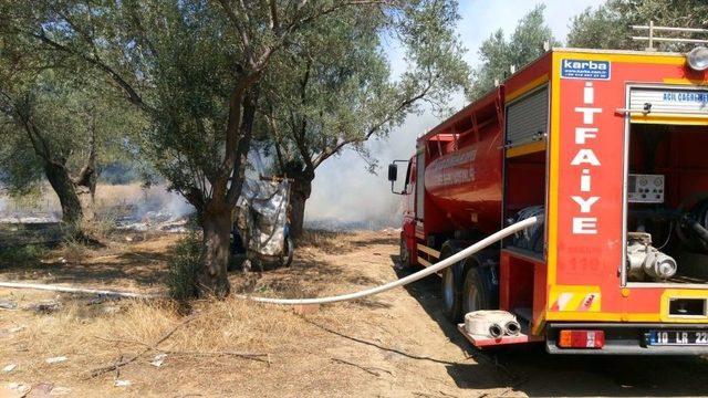 Zeytinlik Yangını Korkuttu 1
