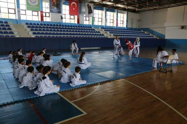 Odunpazarı Belediyesi Tekvando Yaz Okulu’na Çocuklar Yoğun İlgi Gösterdi