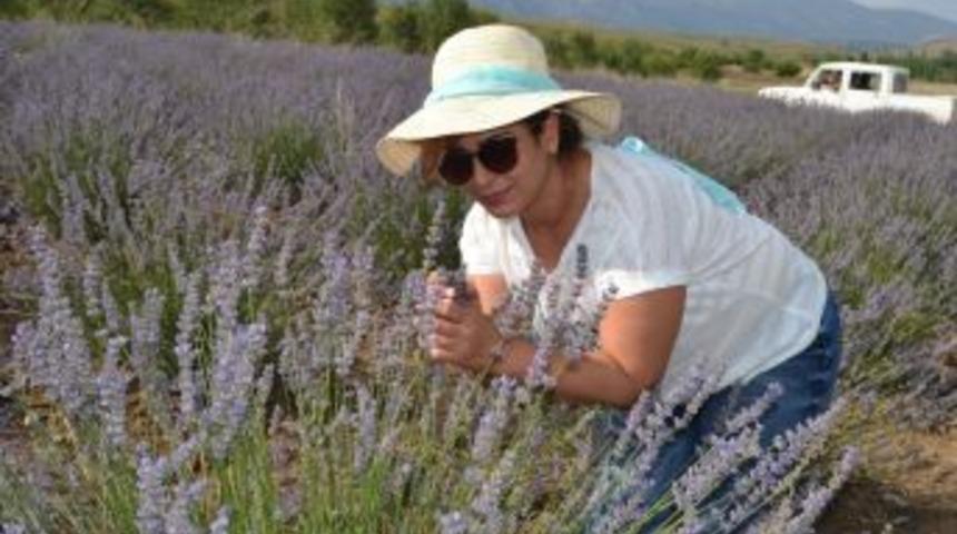 Lisinia Yaban Hayatına İlgi Her Geçen Gün Artıyor