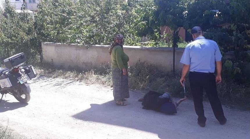 Yaşlı Kadın Meyve Toplarken Duvardan D&uuml;ş&uuml;p Yaralandı