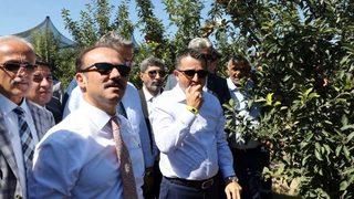 Bakan Pakdemirli, Yozgat’ta Meyve Bahçesini Gezdi