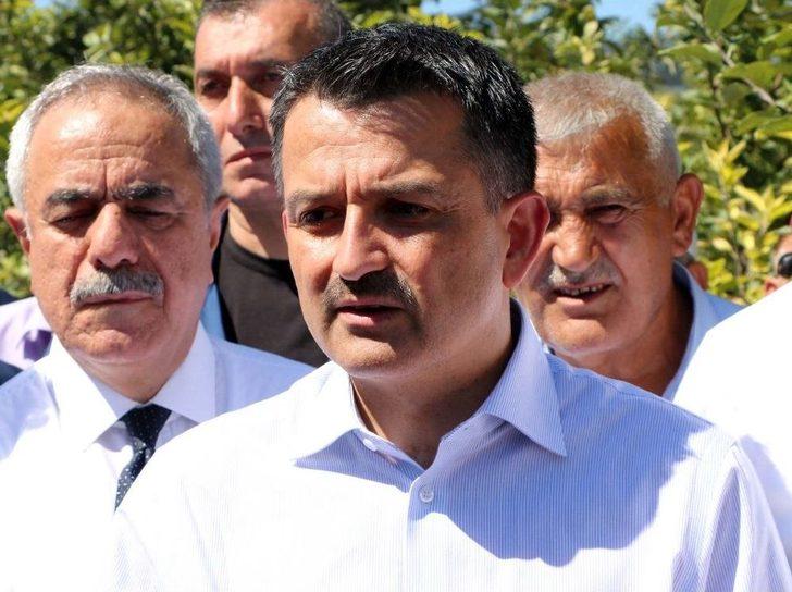 Bakan Pakdemirli, Yozgat’ta Meyve Bahçesini Gezdi G2